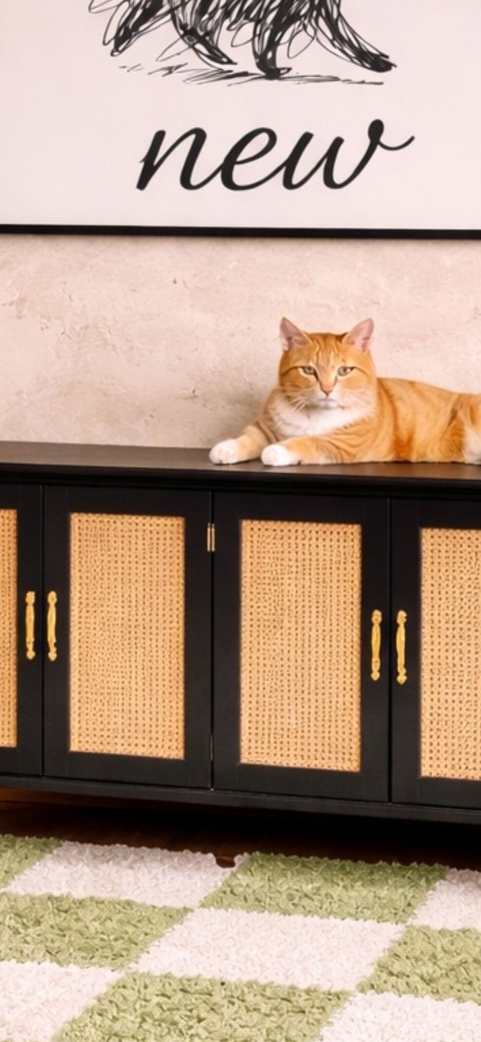 Mueble Escondite para Arenero de Gato – 2 Habitaciones con Diseño Rattan