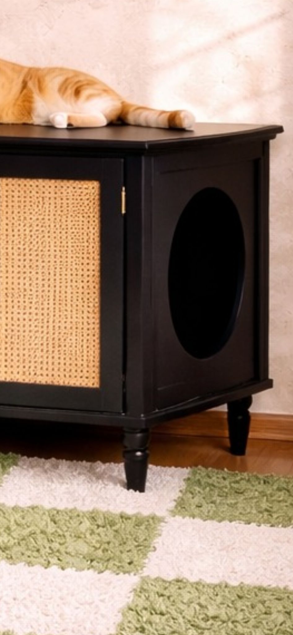 Mueble Escondite para Arenero de Gato – 2 Habitaciones con Diseño Rattan